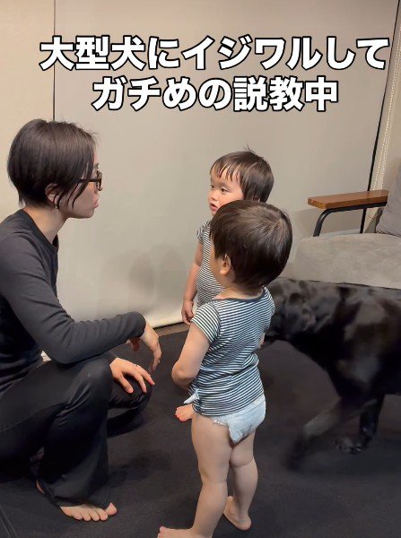 どんちゃんが来て…