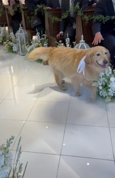 「この辺でいいかな？」