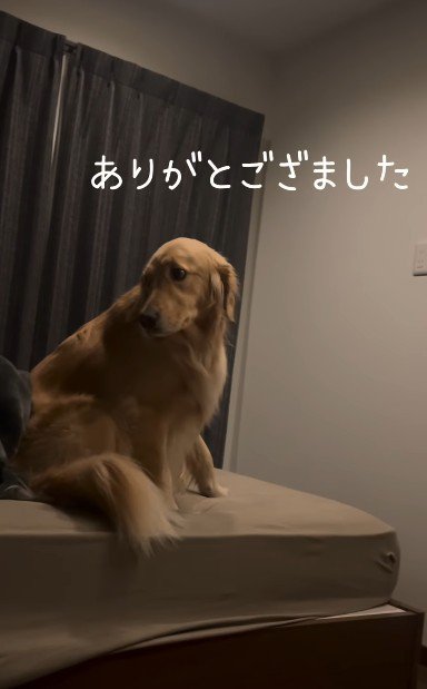 やっとのことでパパの隣にやっとのことでパパの隣に