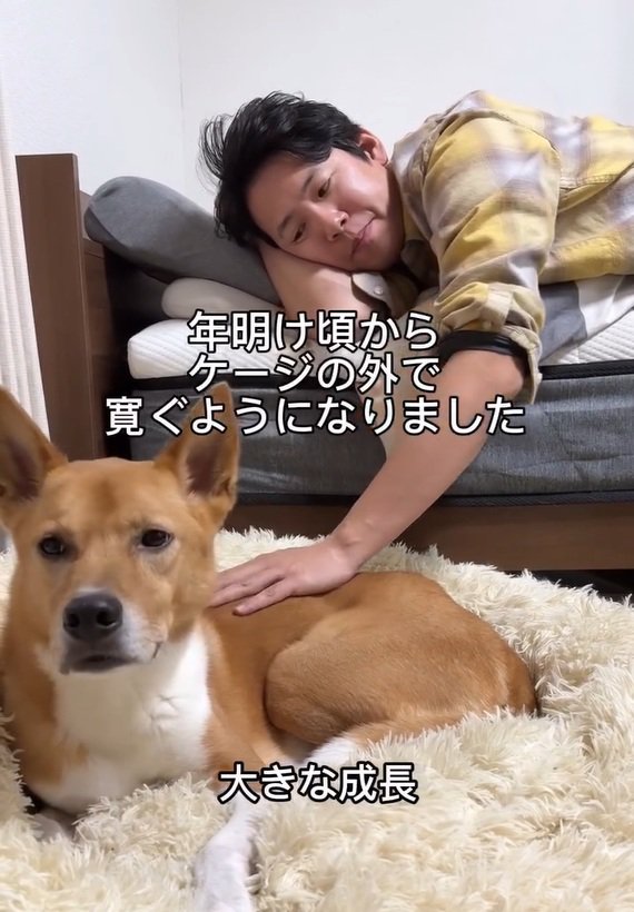 クッションで寛ぐ明智くん