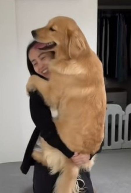 ちあちゃん＆ひまわりちゃんの成長6