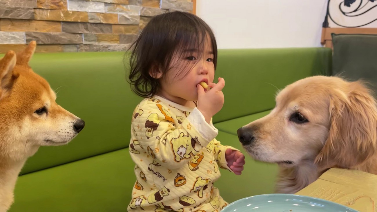 みんなで家族旅行へ