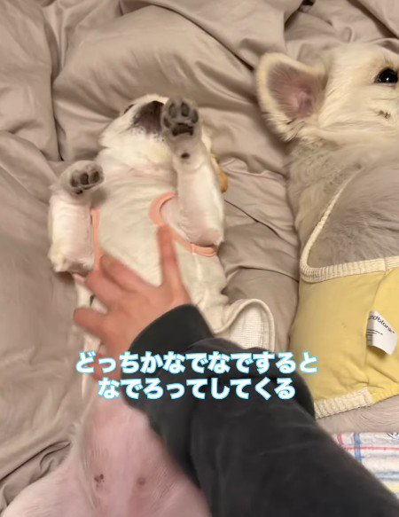 幸せなひとときだけど…