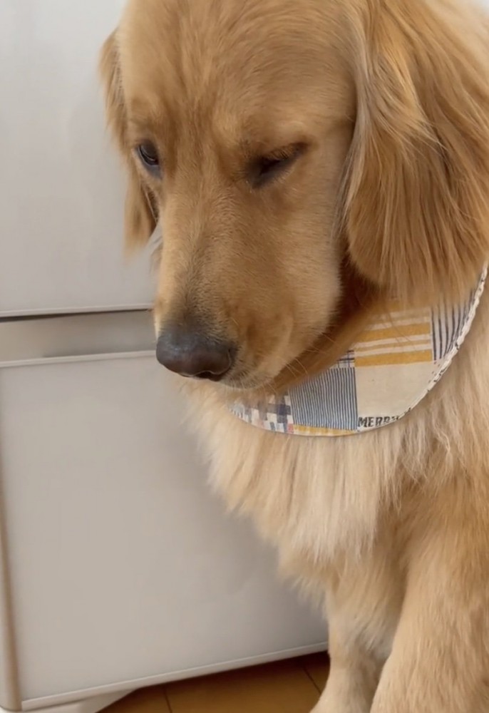 「かわいそうなぼく…」