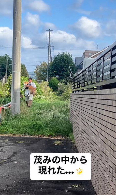 ぶん太くんとパパさんのお散歩2