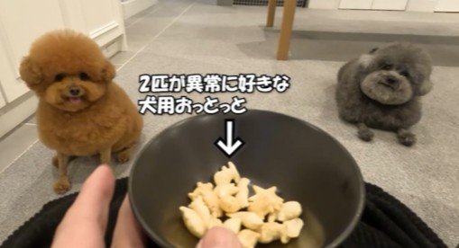 頑張ったご褒美