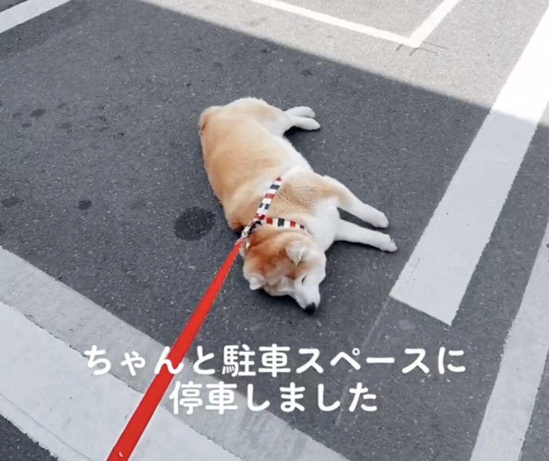 そこはきっちりと