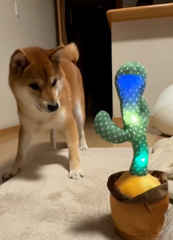 びっくりするテツくん