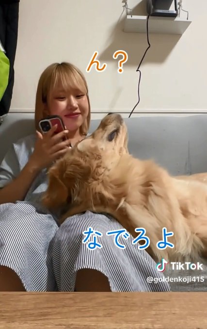 催促する麹くん