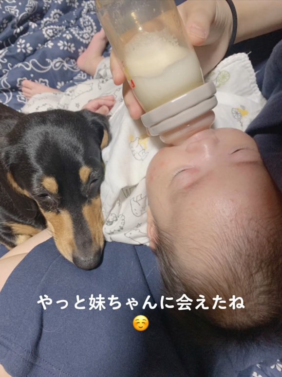 ミルクを飲む赤ちゃんに寄り添うワンコ