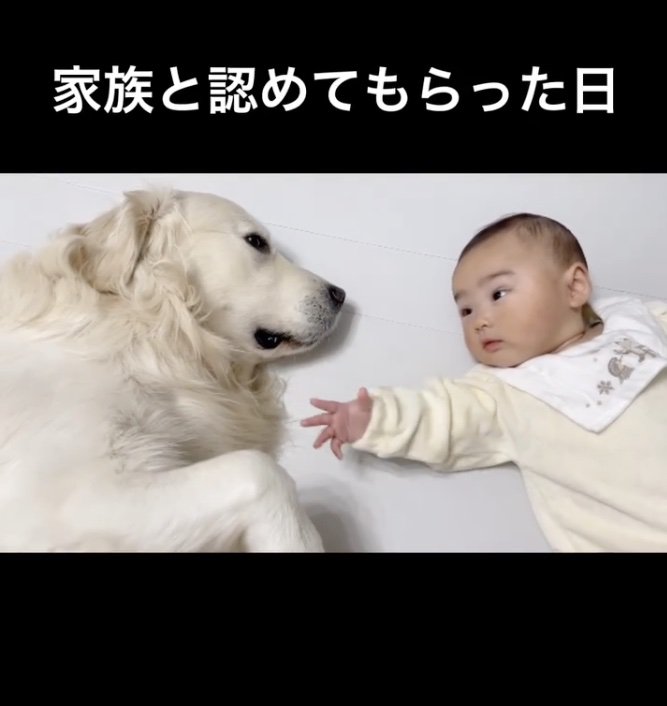 全てを受け入れています