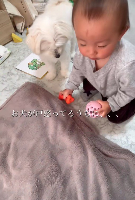 リリちゃんと赤ちゃん9