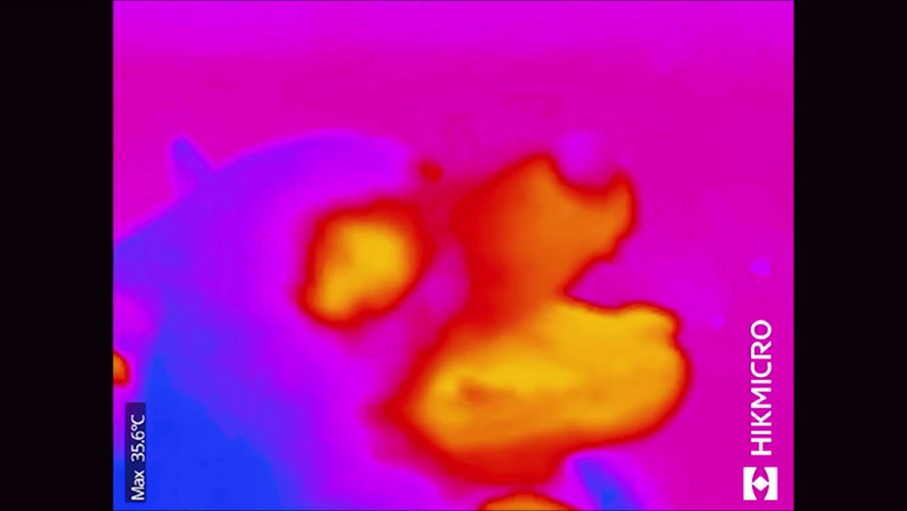 家族との再会を喜ぶ