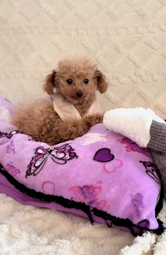 考えるくぅちゃん