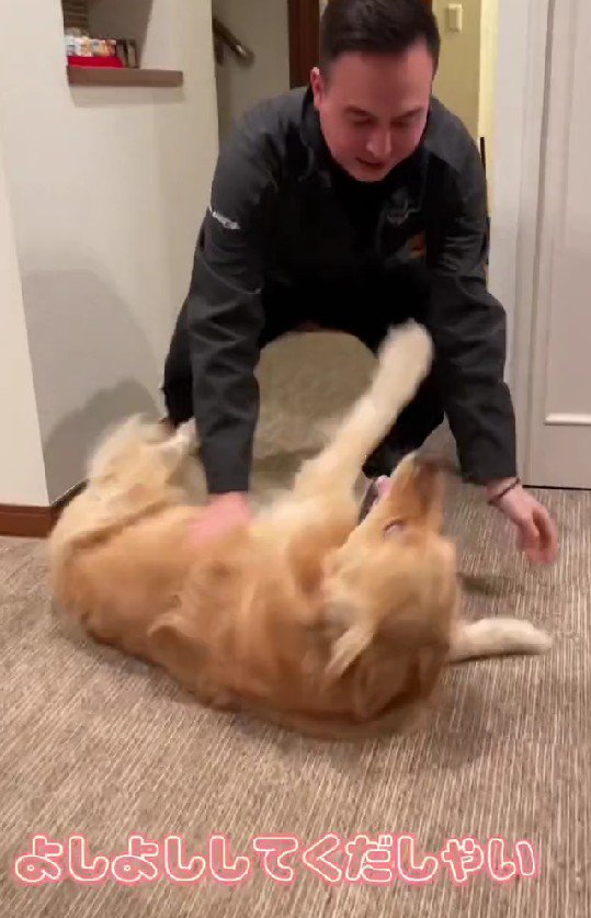 「どこ行ってたの～！！」