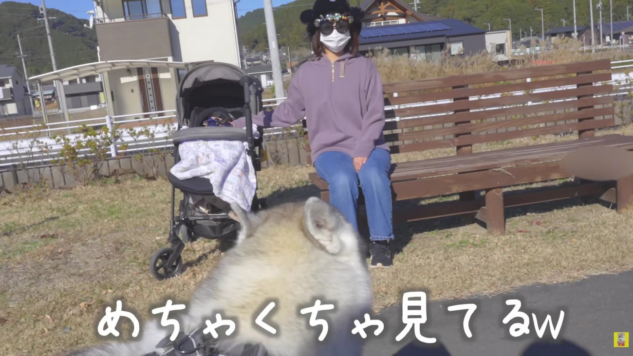 目が合ったのにスルー！！