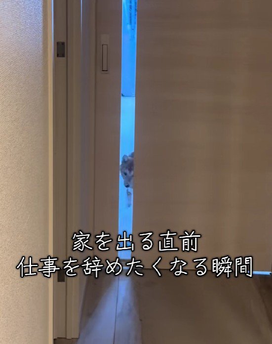 家を出ようとしたら…