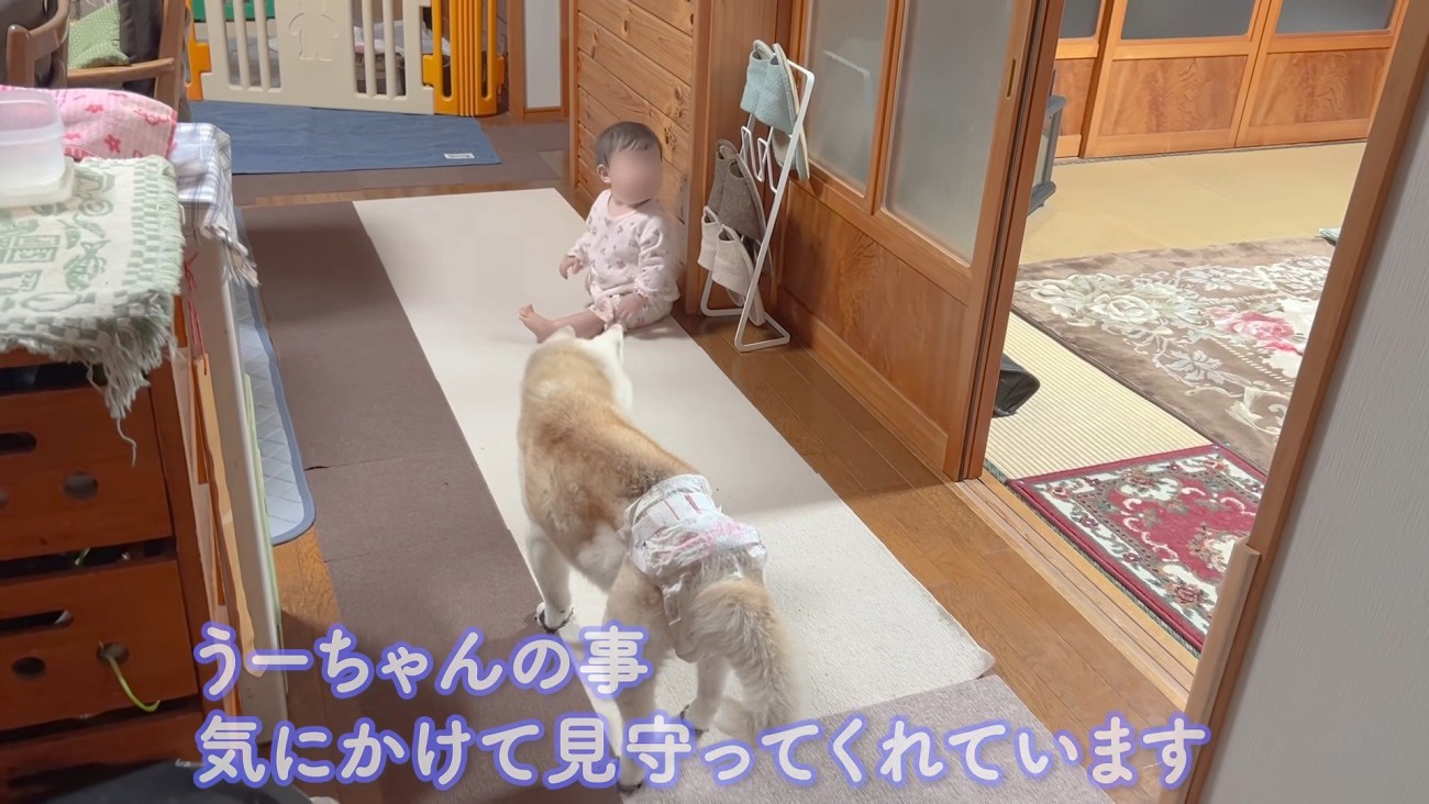 見守り担当です