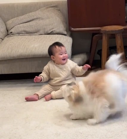 爆速が始まった小太郎くん