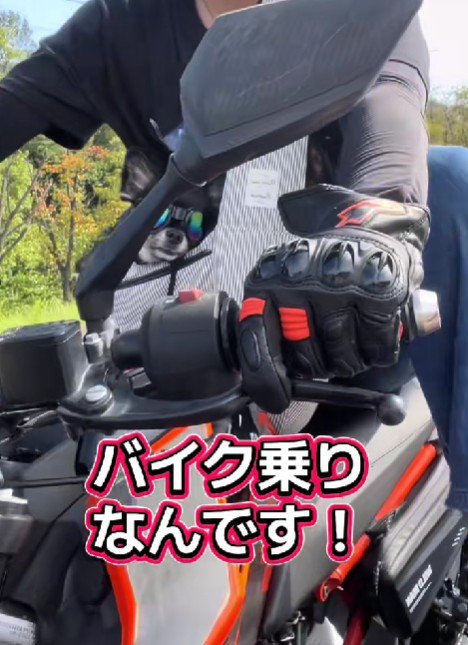 ベテランライダーのよう