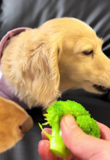 ゆっくりとフレームイン