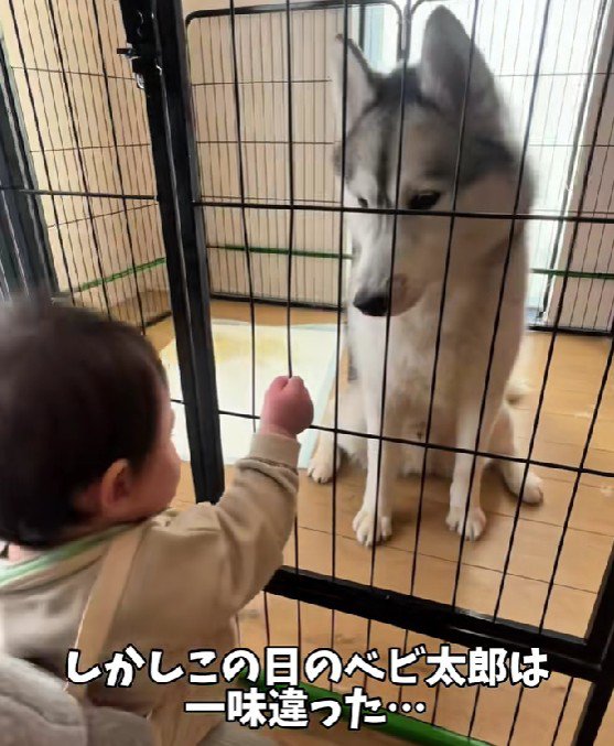 赤ちゃんが待機