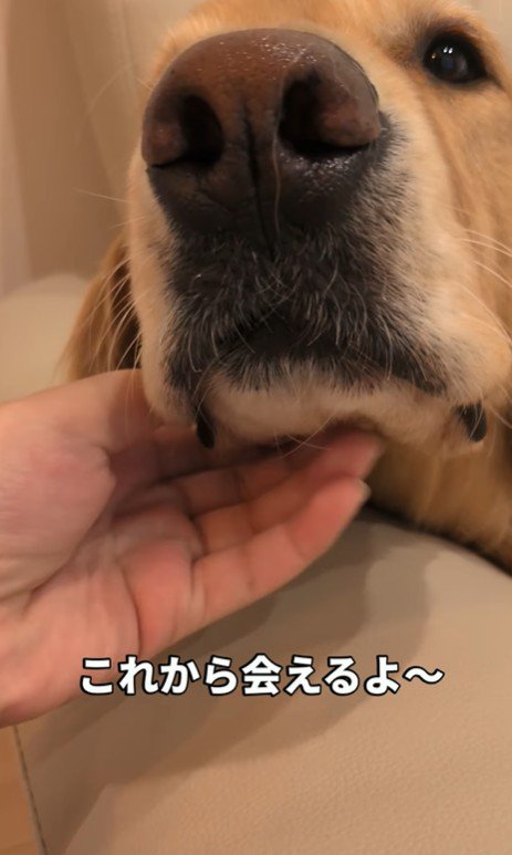 まるちゃんとママさんの再会4