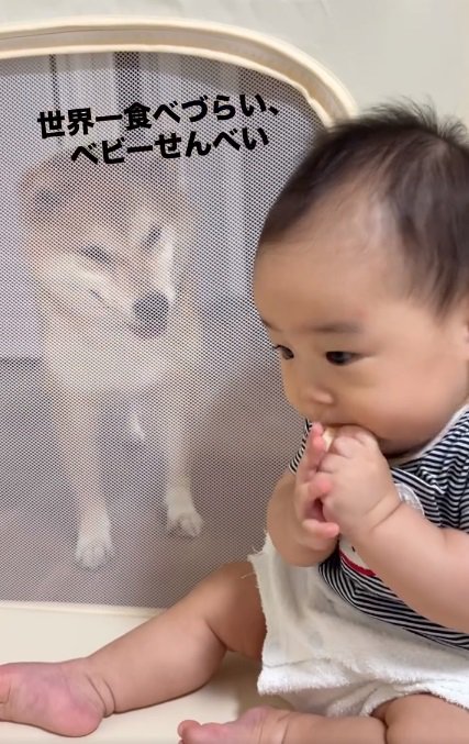 もう一度食べようとする赤ちゃん