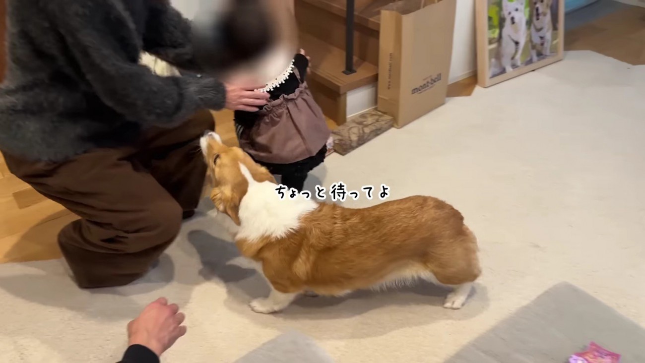 追いかけるモナちゃん