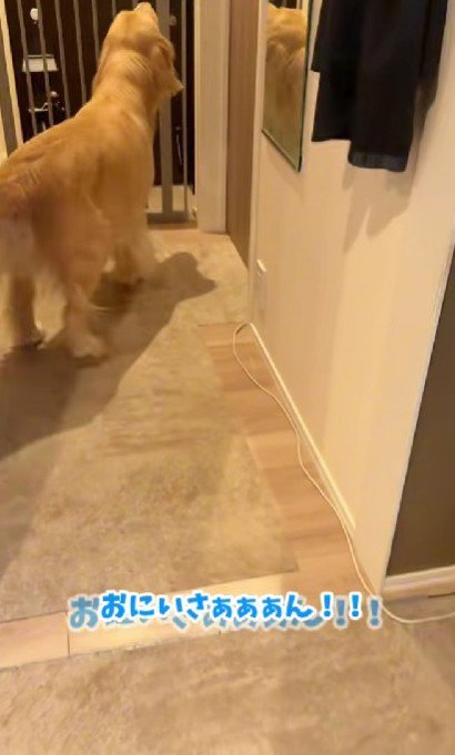 「おにいさああああん！！」