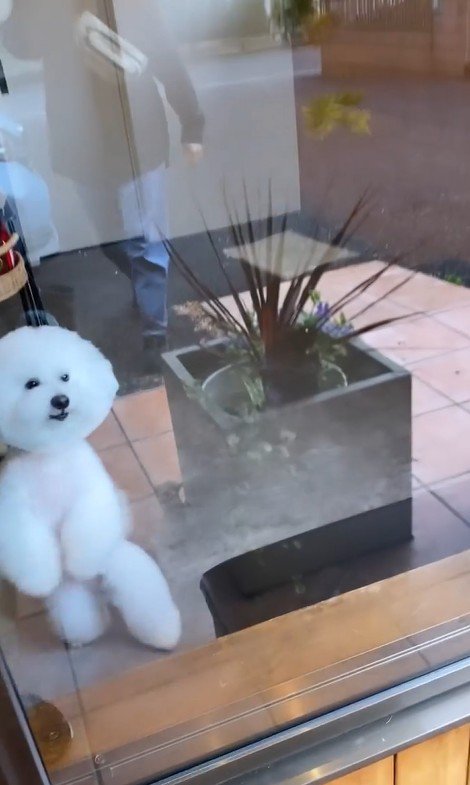 ショーンくんのお迎え4