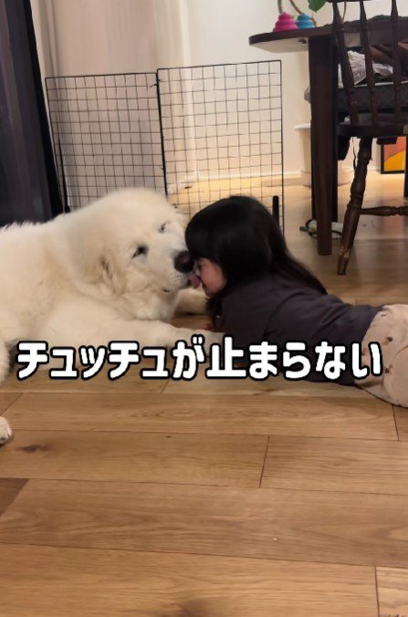 妹のことが大好き！