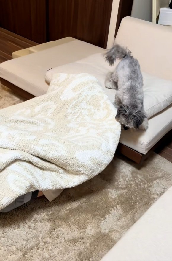 違和感を覚えるピーターくん