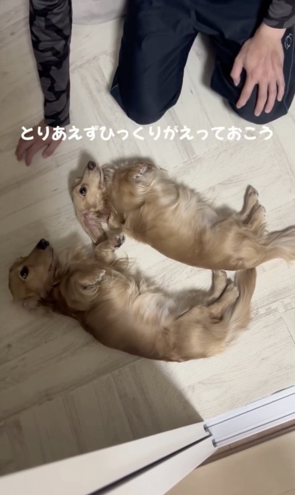 「とりあえず、ね」