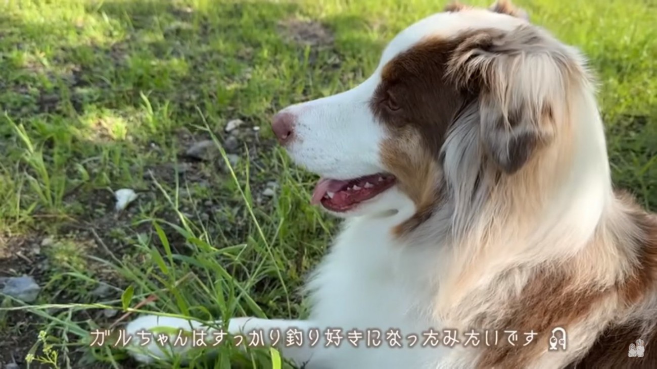 釣りが好きになったガルちゃん