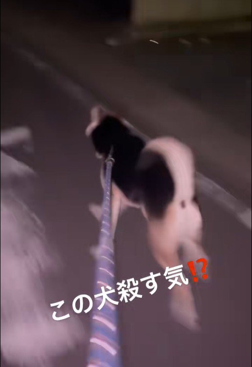 オヤツを食べられた仕返しにダッシュ！