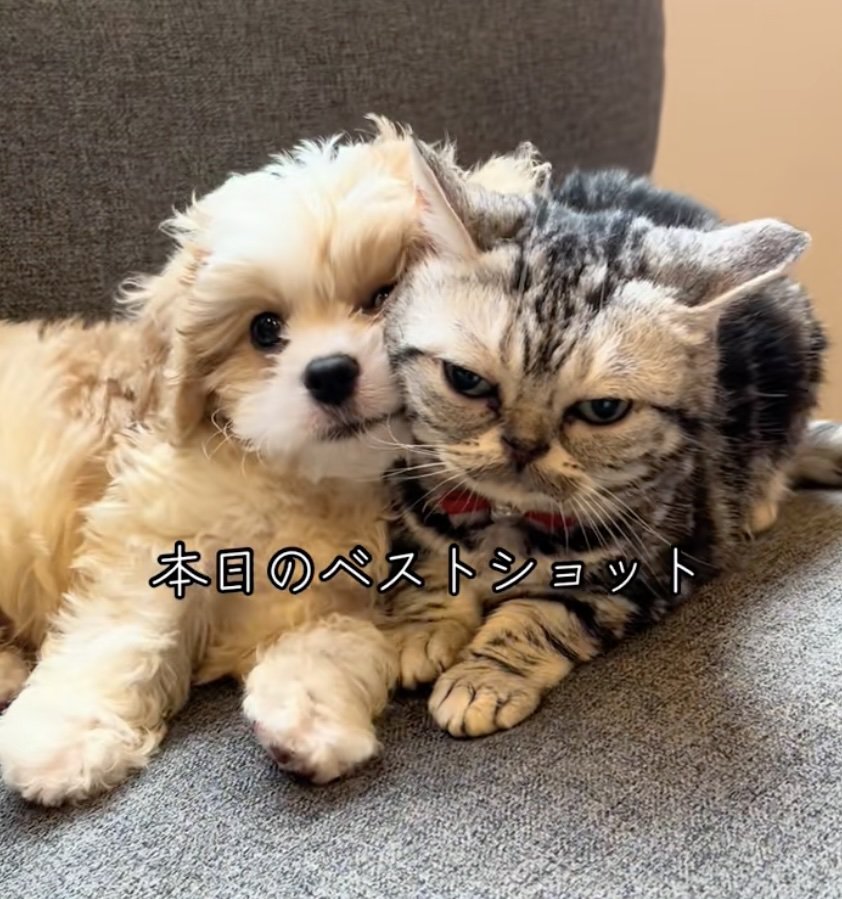 とっても仲良し