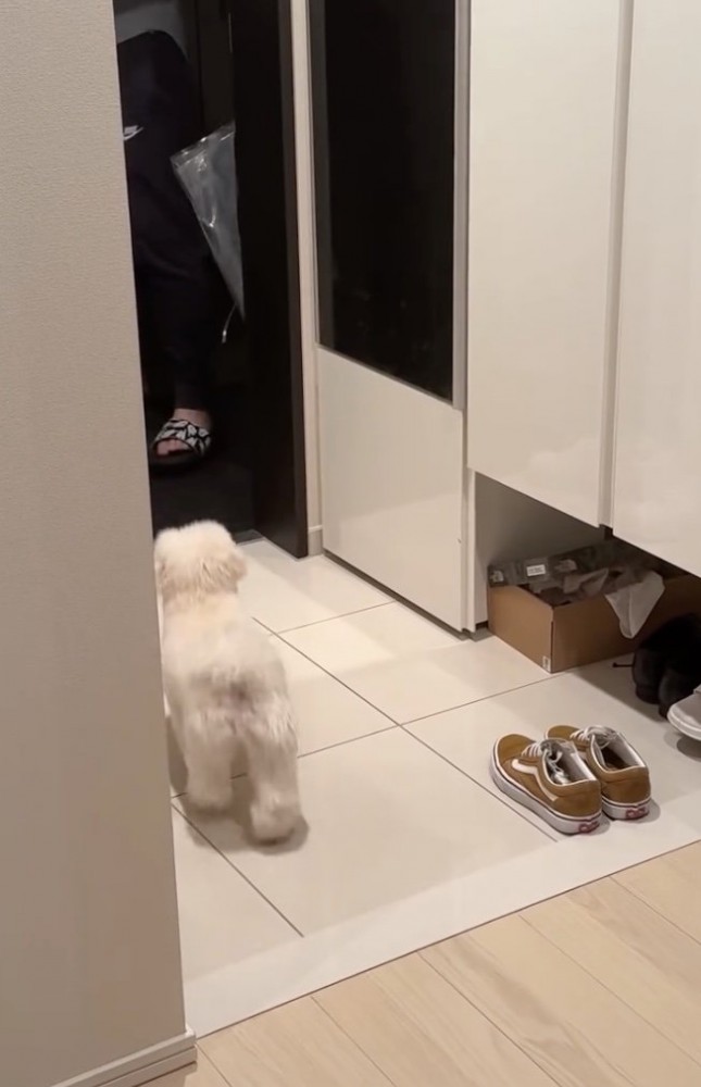 「まってた！！」