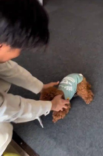 猛犬どころかアイドル！！