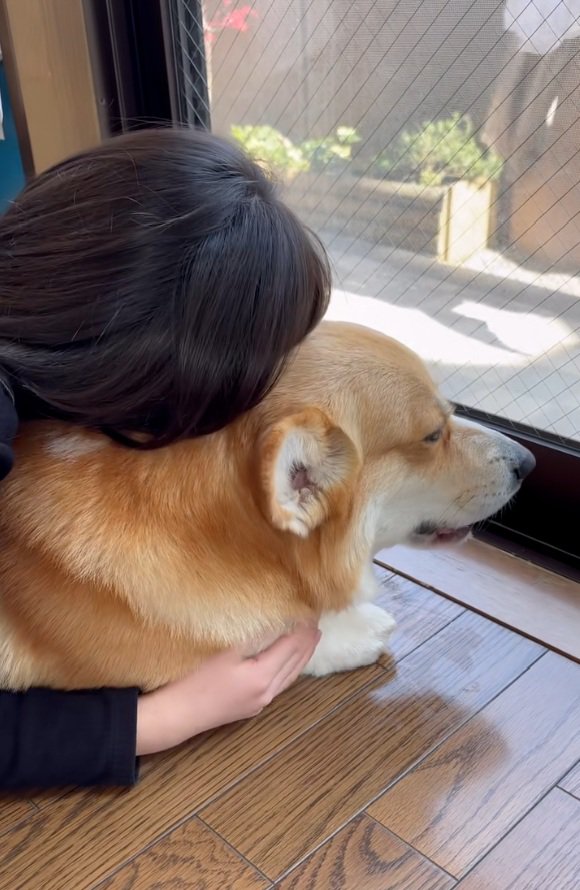 ハグするお姉ちゃん