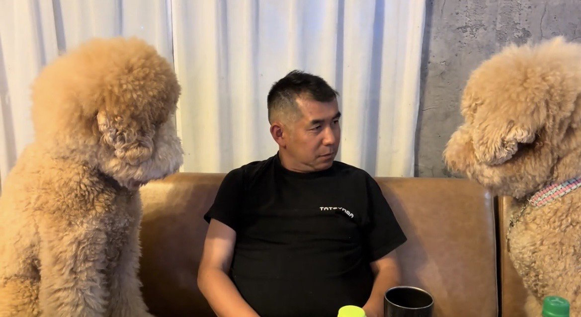 人を挟んで向き合う2頭の犬