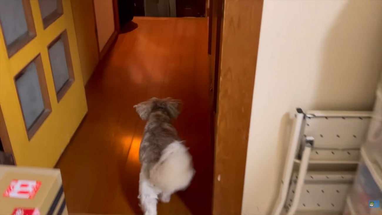 お出迎えするために玄関へ