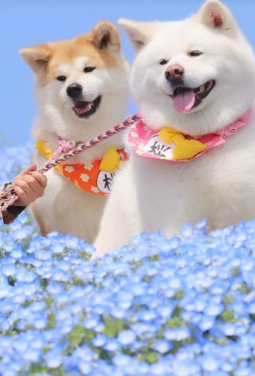 2匹とも可愛すぎる♡