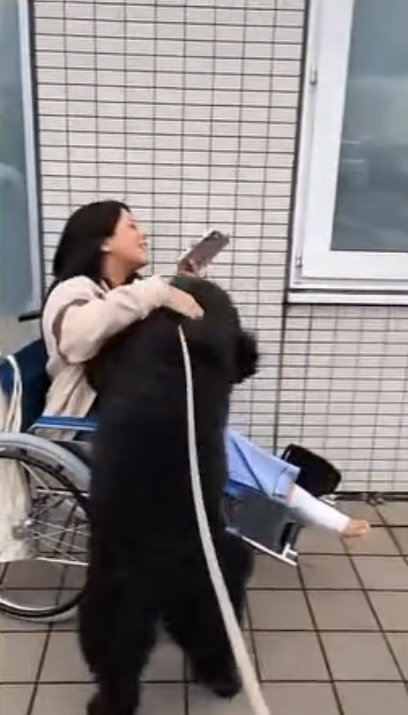 車椅子の女性に飛びつく犬