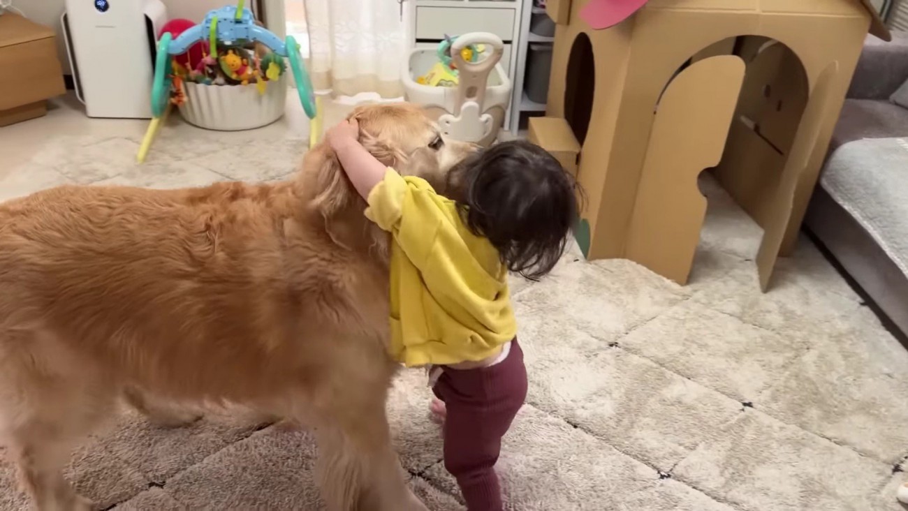 「助けて、おからちゃん！！」