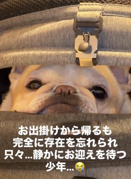 哀愁漂う表情にクスッ