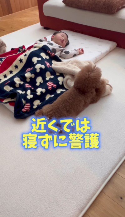 自分のお昼寝は後回し…