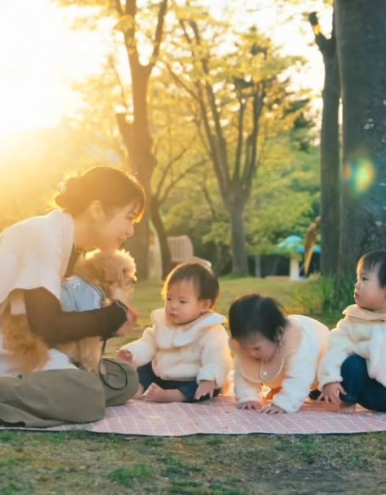 女性の膝の上に座って、3人の赤ちゃんを見つめる犬