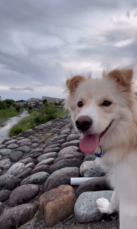 ぼーちゃんの変化9