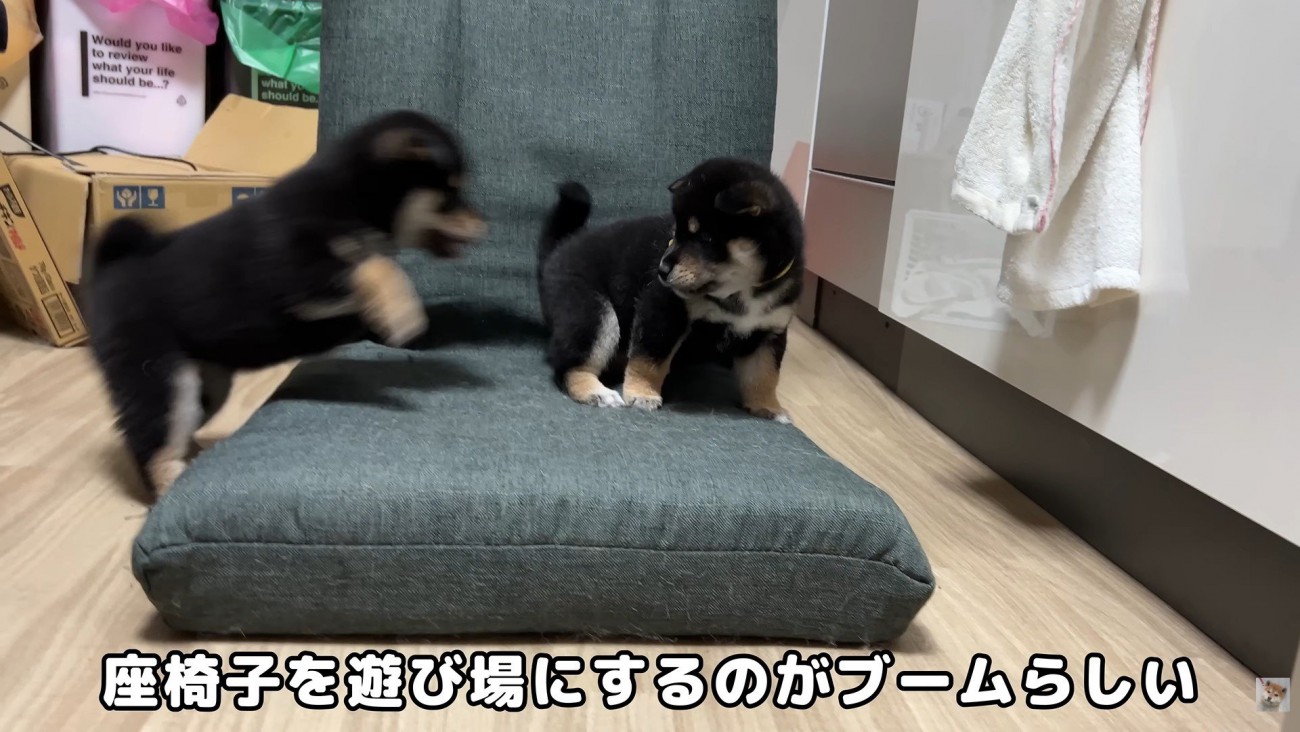 ワンプロ開始！